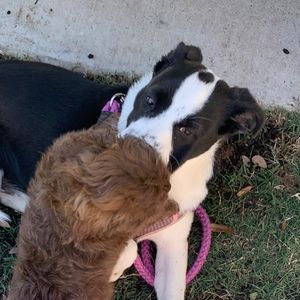 Meet your Posher, Leah